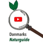 Se Danmarks naturguide på Youtube